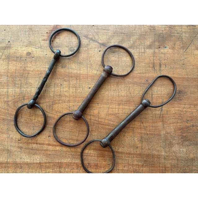 Here is a set of 3 antique horse watering bits circa early 1900s. This collection of bits would be a great gift for a...
