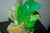 Metal Glass Rock Lamp Sculptures in Yellow & Green For Sale - Image 7 of 9