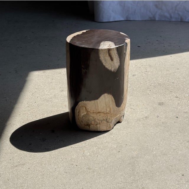 Small Side Table in Black and White Petrified Wood, 1980s For Sale - Image 16 of 18