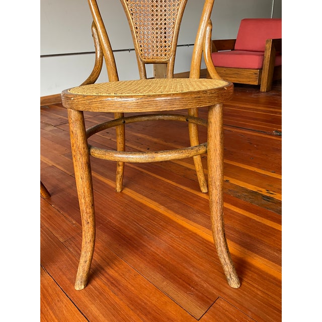 Brown Thonet Style Bentwood Cafe Chairs, Set of 2 For Sale - Image 8 of 12
