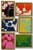 Abstract Ron Giusti Mini Orchid Still Life Blush Black Acrylic Painting For Sale - Image 3 of 6