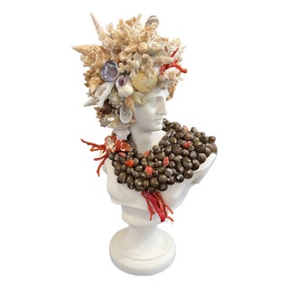 CSS Seashell Apollo Bust For Sale