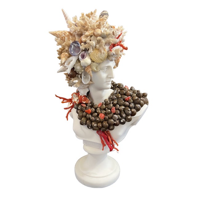 CSS Seashell Apollo Bust For Sale