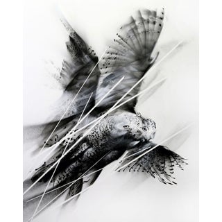 Crossing by Aaron Li-Hill | Aerosol and Acrylic of a bird in flight For Sale