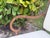 Vintage Hammered Iron Scroll Arm Lounge Chairs With Brass Finials, a Pair For Sale - Image 15 of 18
