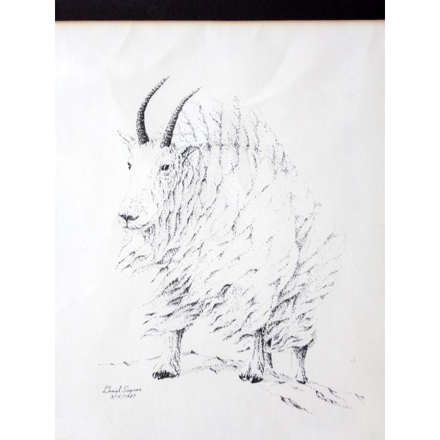 Cabin Vintage Framed Mountain Goat Drawing For Sale - Image 3 of 7