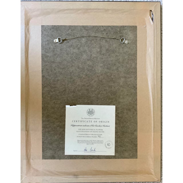 1970s Franz Bauer Botanical Illustrations - Set of 3 For Sale - Image 9 of 11