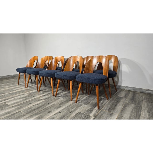 Dining Chairs by Antonin Suman, 1960s, Set of 10, in Restored conditions. Designed 1960 to 1969 I have official proof of...