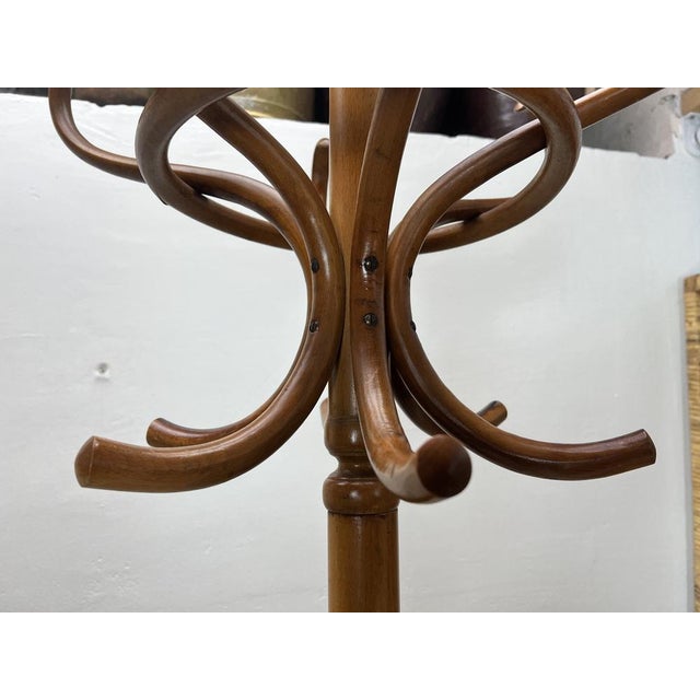 Free Standing Coat Rack in the style of Thonet, 1950s For Sale - Image 11 of 15