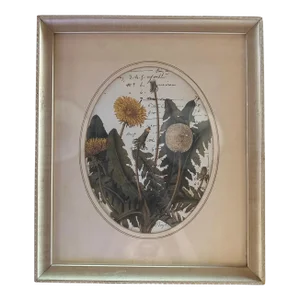 Vintage Floral Print - Les Fleurs Du Temps