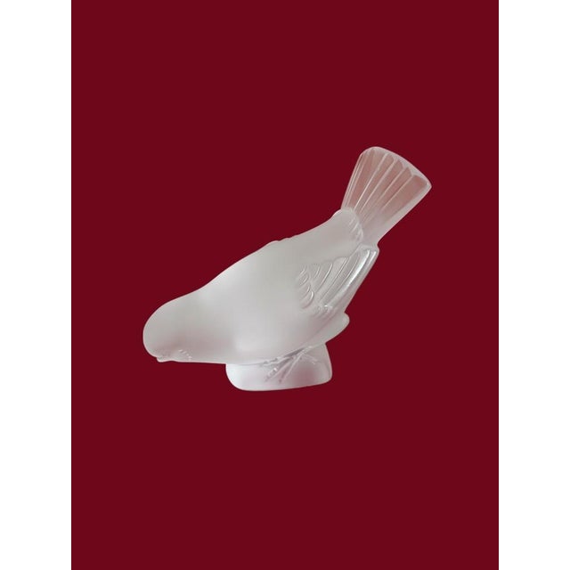 Transparent Mid 20th Century Lalique Frosted Crystal Sparrow Figurines Set of 2 Decorative Sculptures France For Sale - Image 8 of 17