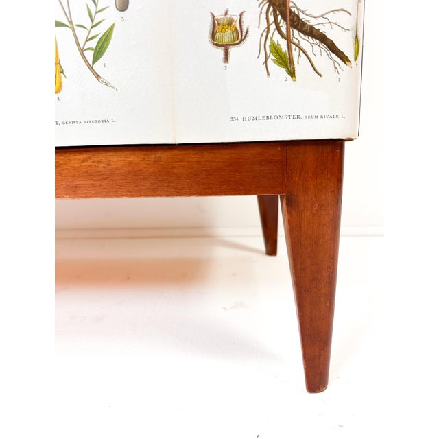 Antique White 1940’s Swedish Cabinet With Nordens Flora Illustrations For Sale - Image 8 of 11