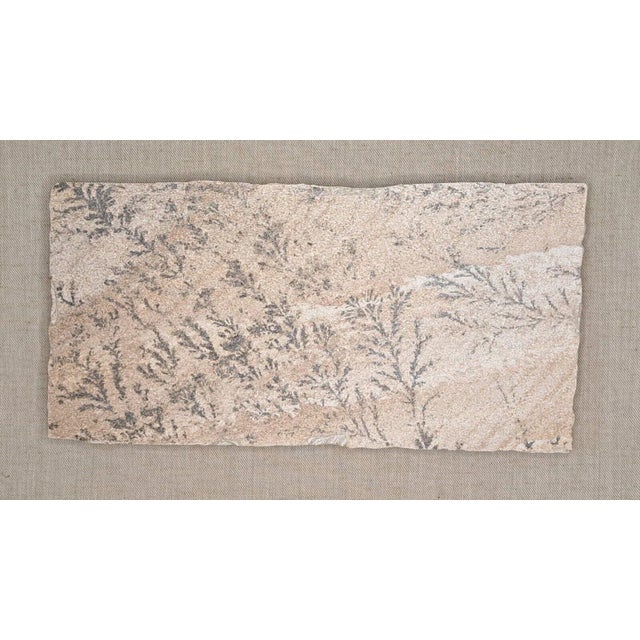 Traditional Large 1970s Manganese Oxide Dendrite Slab on Gypsum Matted Framed Rare For Sale - Image 3 of 12