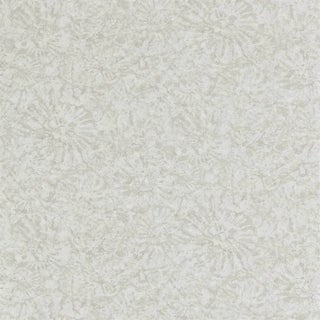 Harlequin Ammonite Wallpaper in Pumice For Sale