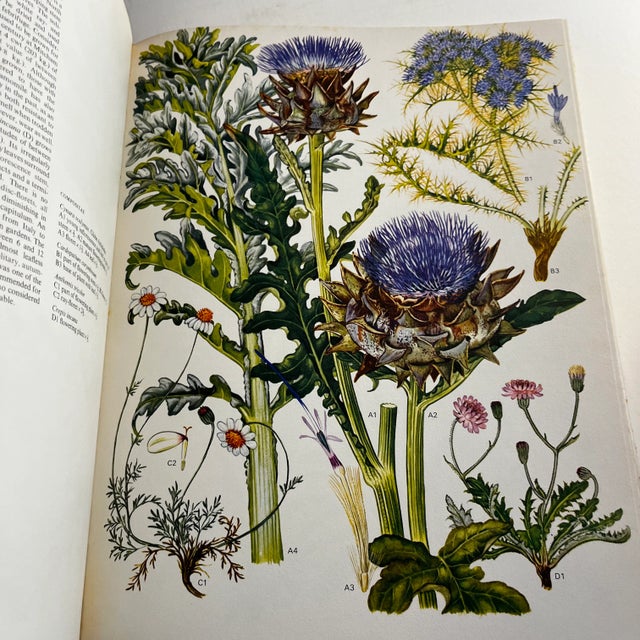 1970s 1970 Wild Flowers of the World Book For Sale - Image 5 of 11