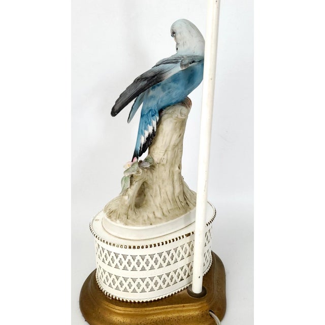 Lamp Blue Parakeet Parrot For Sale - Image 11 of 12