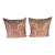 Pair of Fortuny Textile Pillows With Classical Urn Motif For Sale