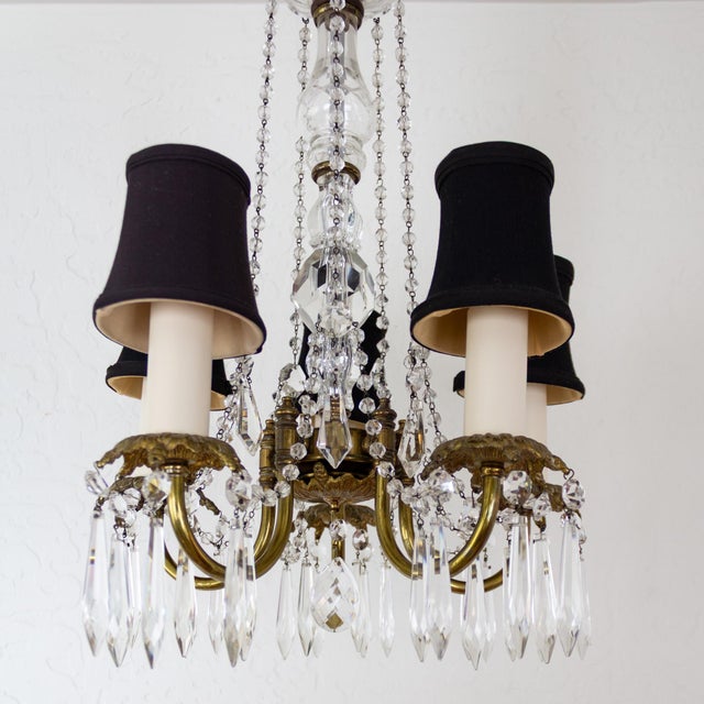 Petite French Louis XV Style Five Arm Crystal Chandelier With Black Lampshades For Sale - Image 13 of 18