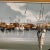 Mid 20th Century Original Oil Painting "Harbor Morning" Signed by Artist Italy, Framed For Sale - Image 4 of 12