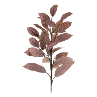 Brown Leaf Spray (Set of 4) For Sale