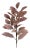 Brown Leaf Spray (Set of 4) For Sale