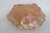 Orange Indiana Glass Bowl Embossed Leaf and Loganberry Marigold Carnival Glass 5031b For Sale - Image 8 of 16