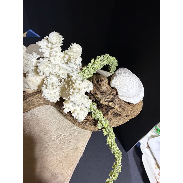 Green Celestial Meets the Sea Driftwood Sculpture For Sale - Image 8 of 8