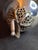 Antique 1812 Silver Torah Pointer Yad - 84 Zolotnik - Filigree & Coral Stone For Sale - Image 4 of 18