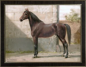 East Prussian Horse by Eerelman Framed in Italian Wood Vener Moulding