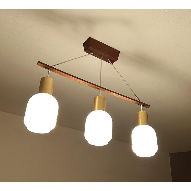 Danish Pendant Light in Glass and Teak, 1960s For Sale - Image 13 of 18