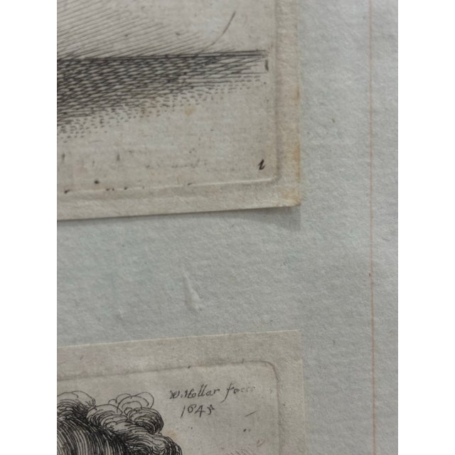 17th Century Wenceslaus Hollar "Varie Figurae" Signed Etchings After Da Vinci — Sequentially Framed Diptych For Sale - Image 4 of 12