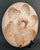 Mid-Century Modern Vintage Sarreguemines Crab Center Thick France 1970s Oyster Serving Plate For Sale - Image 3 of 4