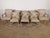 Traditional Vintage Set of 8 Casa Stradivari Nyc Custom Klismos Dining Chairs 2 Arms 6 Sides For Sale - Image 3 of 18