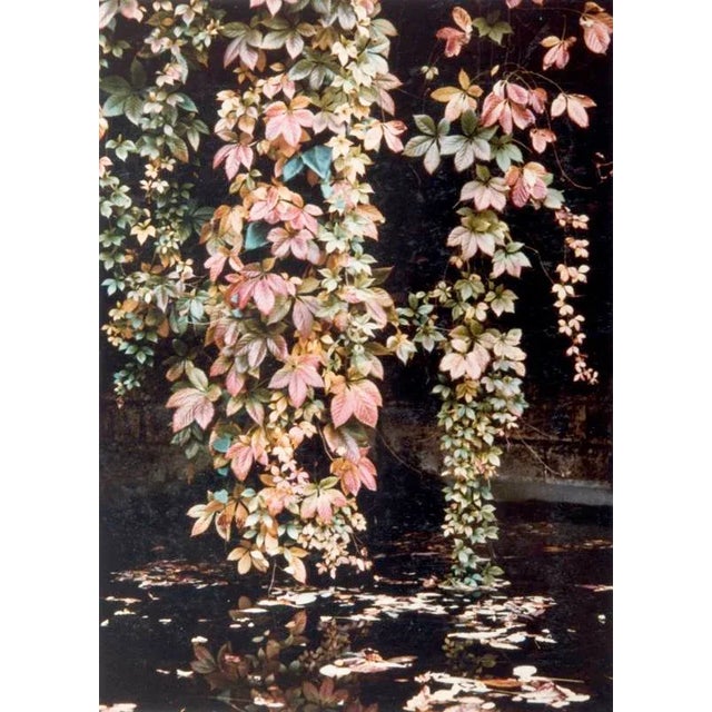 Autumnal Fall Autumnal flowers in a park in Paris. From the series Paris in Colour, 1956–1961. Photo by Peter Cornelius...