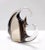 Postmodern Brown Murano Glass Fish Figure by Vincenzo Nason, Italy, 1970s For Sale - Image 10 of 16