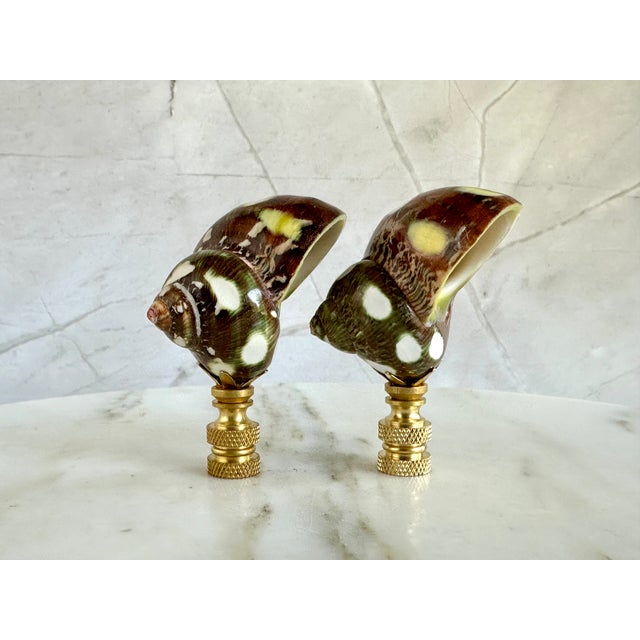 2020s Spotted Shell Lamp Finials on Brass Hardware - a Pair For Sale - Image 5 of 9