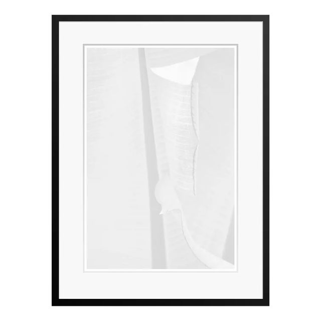 Stuart Möller, Palm Blue House, 2020, Black and White Photograph For Sale