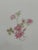Early 20th Century Antique Charles Field Haviland Celery Dish With Gold Accents For Sale - Image 5 of 11