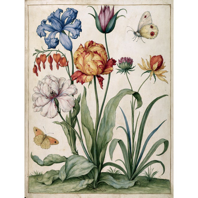 A charming botanical composition reproduced from an original 19th-century watercolor, Butterflies and Flowers celebrates...