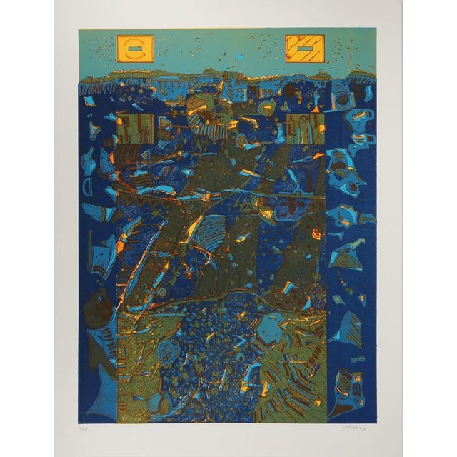 Jean-Pierre Vielfaure, Underwater Diving, Lithograph For Sale - Image 8 of 8
