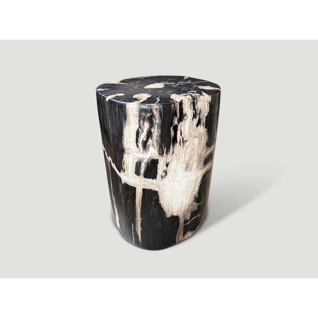 Black Andrianna Shamaris Exquisite Ancient Petrified Wood Side Table For Sale - Image 8 of 8