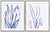 Hable Agave and Century Plant by Susan Hable For Sale - Image 4 of 4