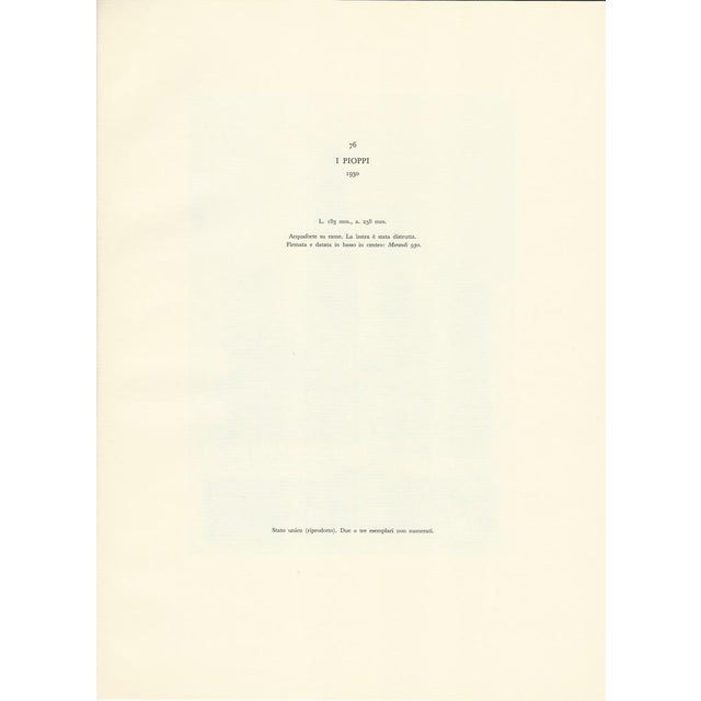 Giorgio Morandi, Poplars, 1930-1957, Lithograph For Sale - Image 4 of 6