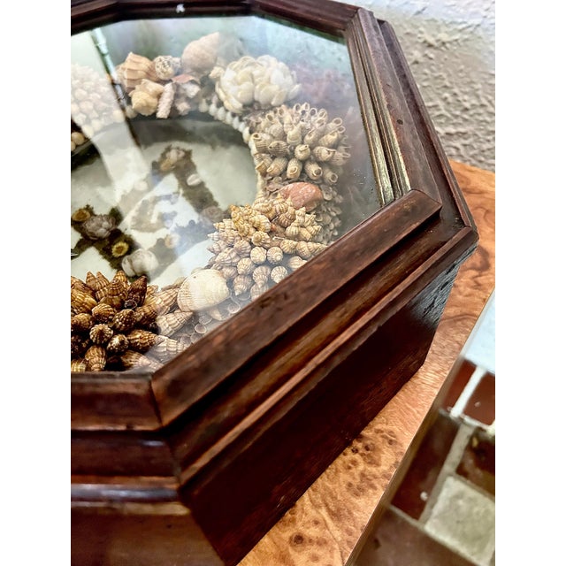 Antique Masonic Lodge Shellwork Shadow Box For Sale - Image 12 of 12