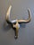 1980s 1980s Polished-Aluminum Longhorn Steer Sculptural Wall Art For Sale - Image 5 of 6