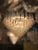 21st Century Opaline Murano Selle Chandelier by Fabio LTD For Sale - Image 6 of 6