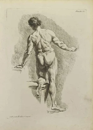 Nicholas Cochin, Anatomy Studies, Etching, 1755