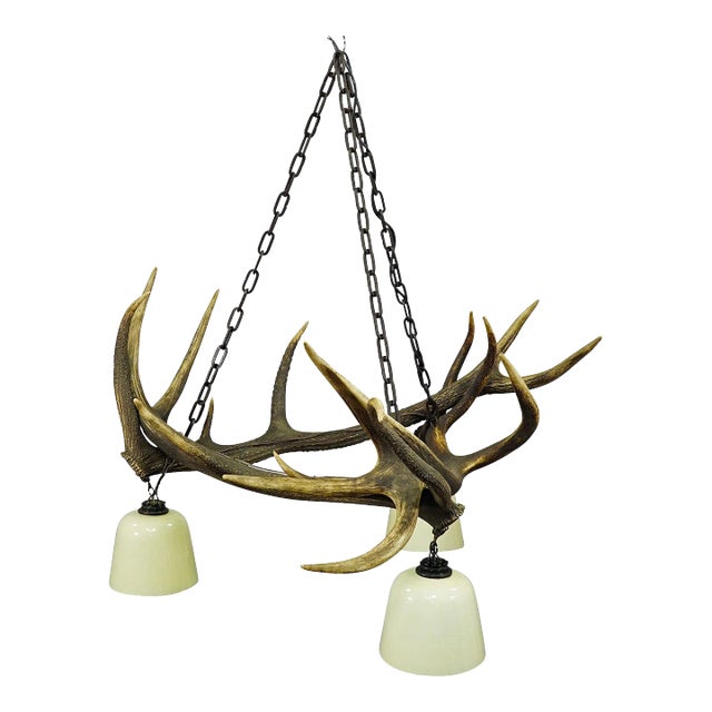 Rustic Antler Lamp With Deer Antlers For Sale