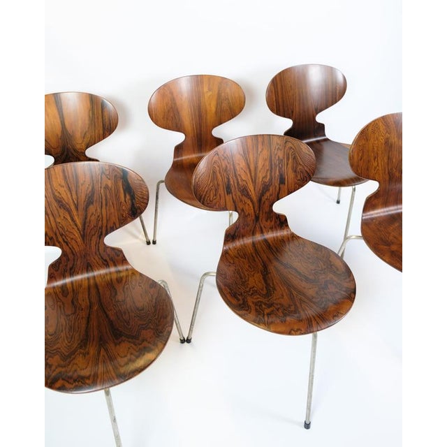 Arne Jacobsen Ant Chair ヴィンテージ ローズウッド Sold Out】Arne Jacobsen / アントチェア. ローズウッド / Fritz