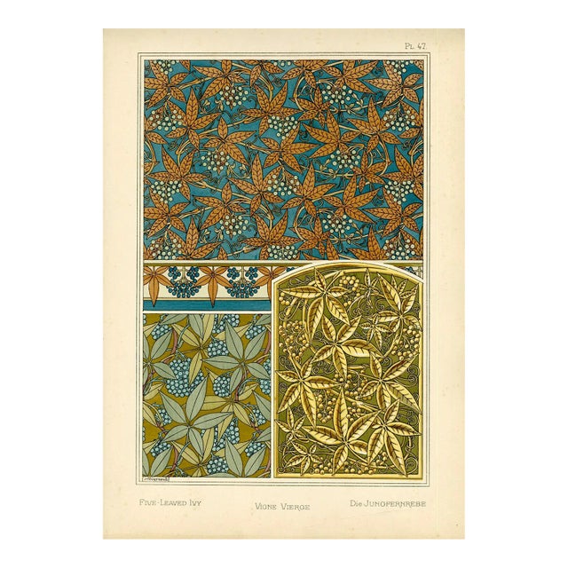 "Vigne Vierge, Pl. 47" Art Nouveau Pochoir by m.p. Verneuil For Sale